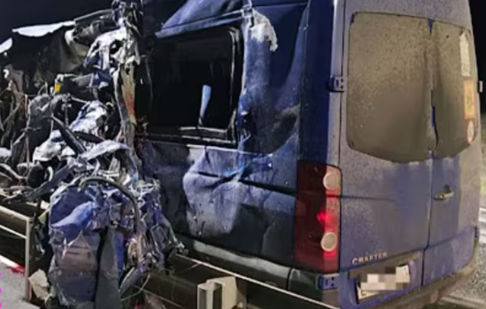 Teška nesreća u Kalmikiji: Sedmoro poginulih i 11 povređenih u sudaru minibusa i kamiona