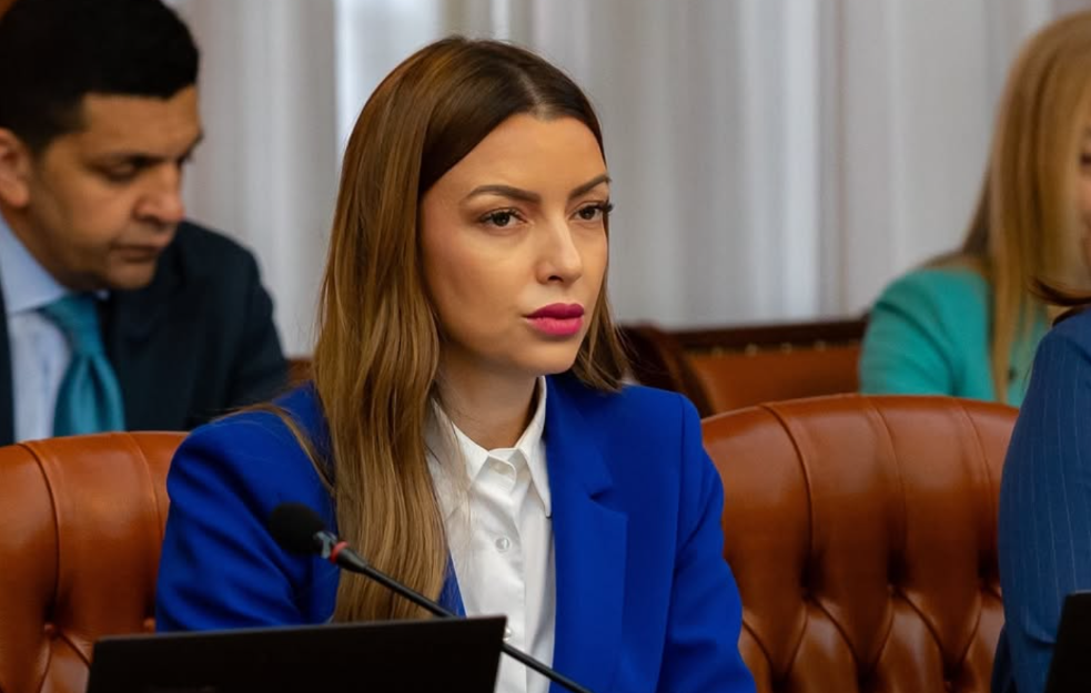 Mesarović: Cilj tzv. kosovske policije je zastrašivanje i zlostavljanje srpske dece na KiM