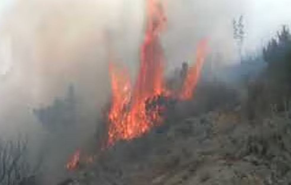 Požar kod Trebinja i dalje aktivan: Ugrožene kuće