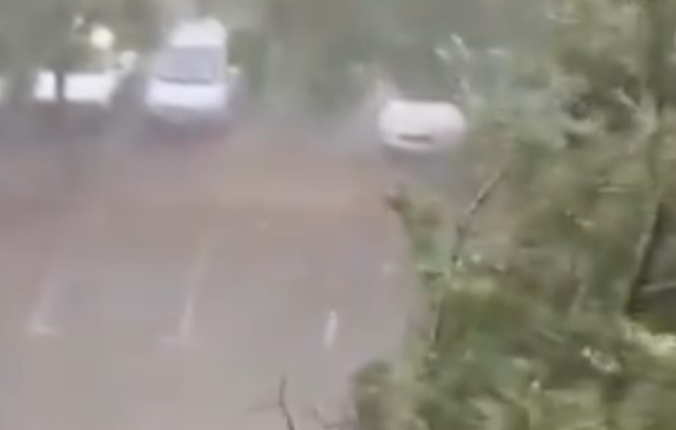 Nevreme sa jakim pljuskovima: Olujni vetar čupao drveće, najteže pogođeni Subotica, Pančevo i Zrenjanin (VIDEO)  