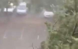 Nevreme sa jakim pljuskovima: Olujni vetar čupao drveće, najteže pogođeni Subotica, Pančevo i Zrenjanin (VIDEO)  