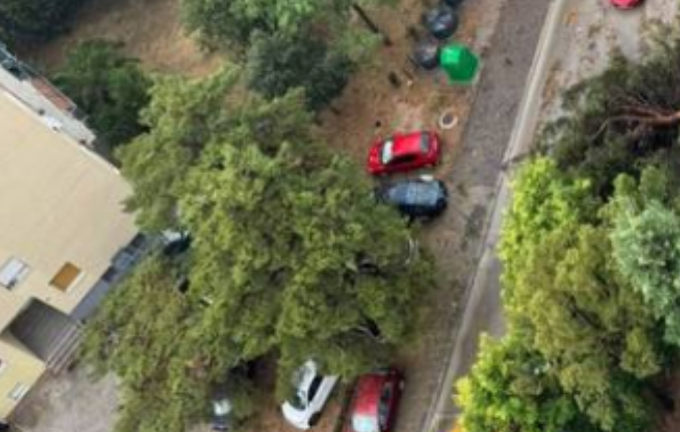 Snažna oluja pogodila Split: Vetar čupao stabla, poplavljene ulice, delovi grada bez struje