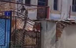 Poznat razlog stravične tragedije u Prilepu: Dvostruki ubica pre zločina sestri i njenom sinu poslao jezivu poruku(VIDEO)