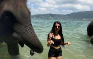 I životinjama dosadili turisti: Slon se opako naljutio na devojku (VIDEO)