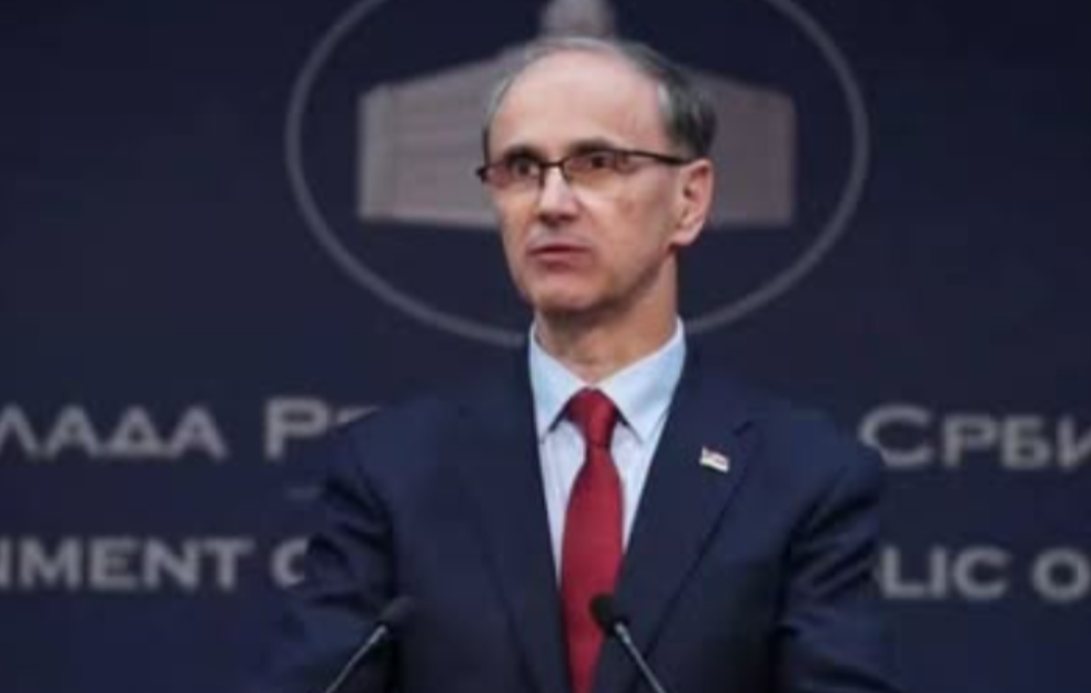Macut: Vlada će usvojiti Nacionalni program o fertilitetu