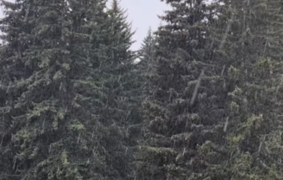 Na Goliji pao prvi sneg (VIDEO)