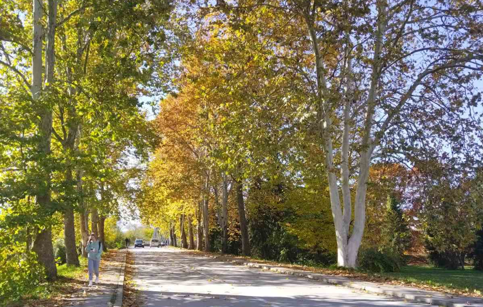 Tokom dana sunčano i toplije, najviša temperatura do 22 stepena