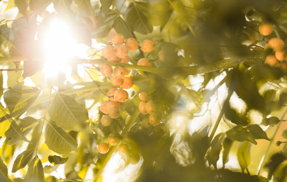 Posle hladnog jutra još jedan topao dan