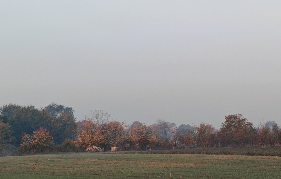 Ujutru magla, tokom dana sunčano: Temperatura do 16 stepeni
