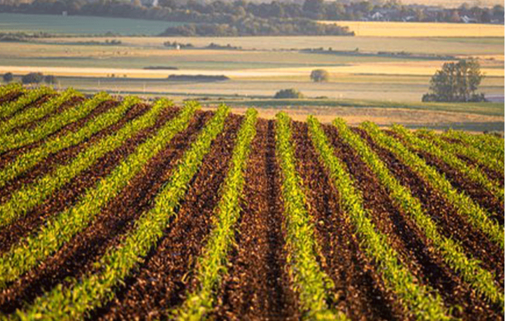 Valjevski poljoprivrednici dobijaju rekordne subvencije iz gradske kase