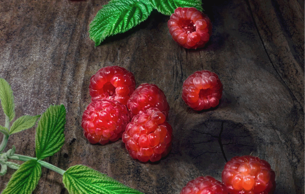 U ariljskom kraju berba maline traje i u novembru: Kilogram crvenog zlata košta i do 2.500 dinara