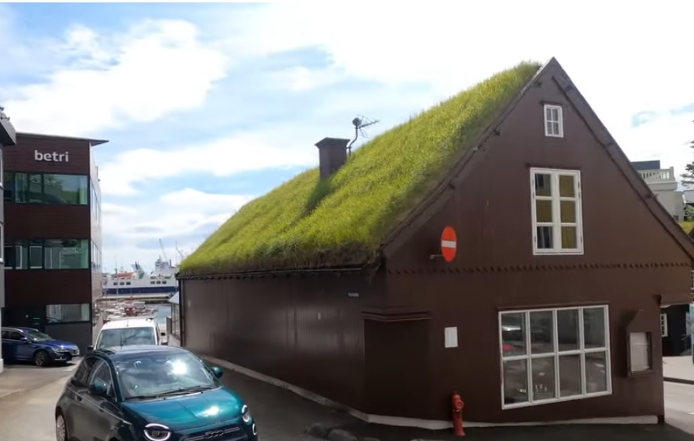 U ovoj državi čak i vladine zgrade imaju zelene, travnate krovove