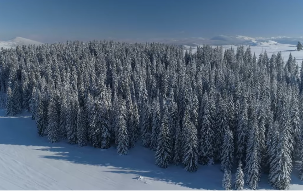 Novi detalji nesreće na Durmitoru: Korpa sa turistima odjednom počela da klizi unazad