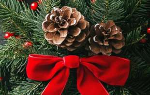 Direktor Uprave za saradnju s crkvama čestitao Božić vernicima koji slave po gregorijanskom kalendaru