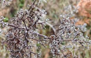 Posle hladnog juta dan topliji, temperature do devet stepeni