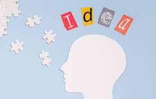 U „najpametnijoj zemlji na svetu“ prosečni IQ stanovnika je 99,24