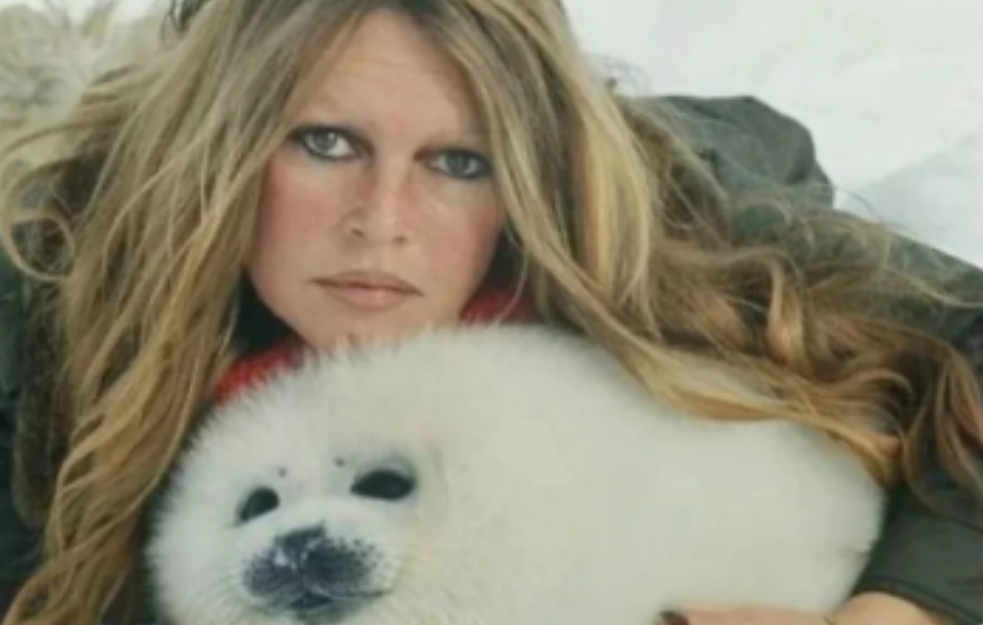 Volela bih da sam RODILA MALOG PSA, a ne ČOVEKA: Izjava zbog koje sin Brižit Bardo nije majku pozvao na venčanje