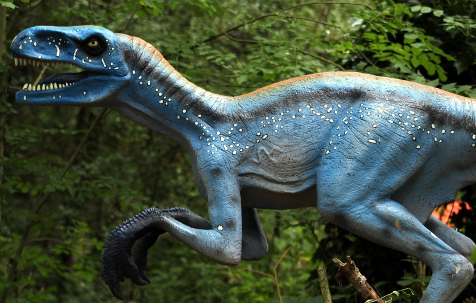 Jaje dinosaurusa staro 70 miliona godina krije veliko iznenađenje