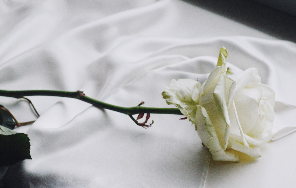 Preminula polusestra Ane Frank, koja je preživela Aušvic, Eva Šlos, u 96. godini