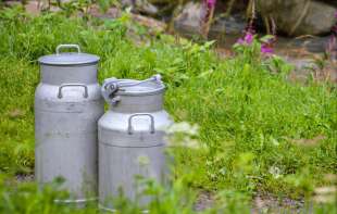 Usvojena uredba koja omogućava isplatu zaostalih premija za mleko