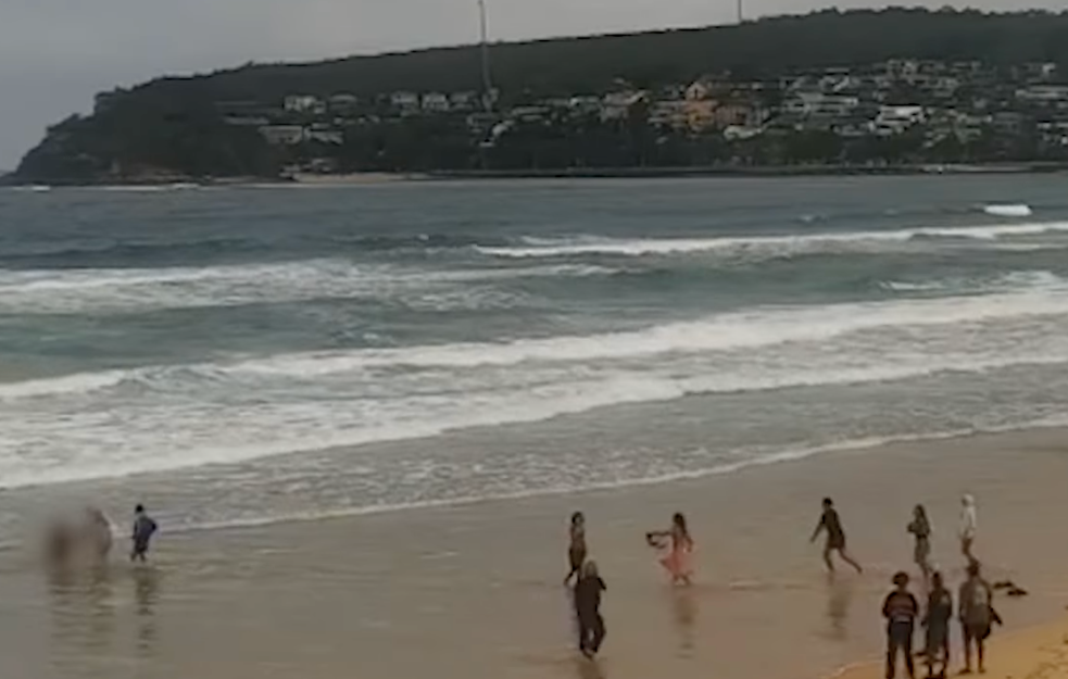 Na istoku Australije se zatvaraju plaže: Četvrti napad ajkula u tri dana