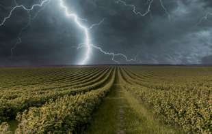 RHMZ upozorava: U Srbiju stiže olujna košava sa ORKANSKIM udarima